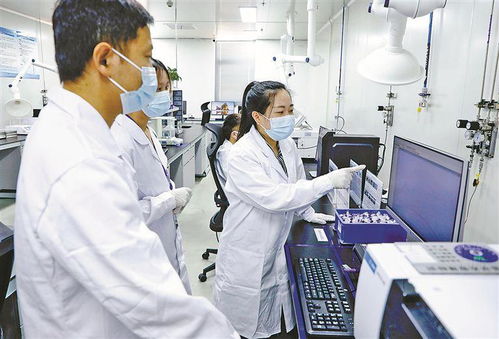 廈門 發(fā)展高端高能產(chǎn)業(yè)，培育高質(zhì)量創(chuàng)新主體，企業(yè)信息技術(shù)咨詢服務(wù)賦能新質(zhì)生產(chǎn)力